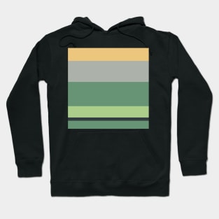 A striking dough of Silver Foil, Charcoal, Oxley, Laurel Green and Sand stripes. Hoodie